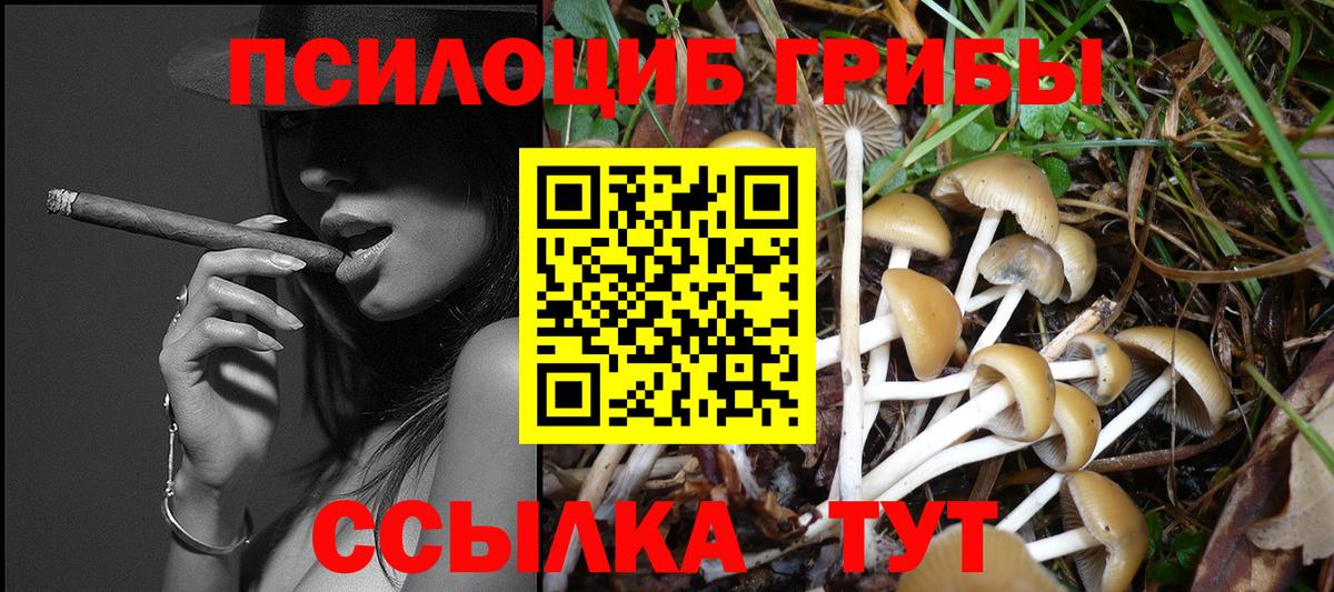 Пугачёв  Псилоцибиновые грибы ЛСД  Вход с VPN 